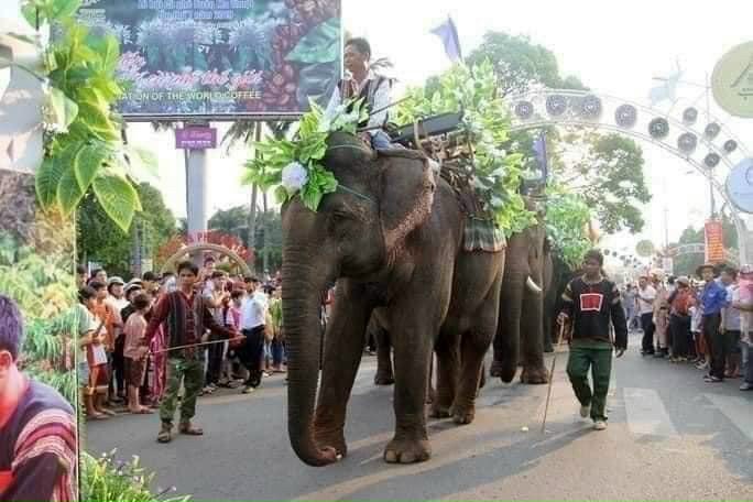 mặt đường nhựa