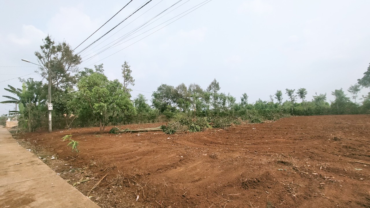 z4298658141040_3a2711c9f66d75159670cdcd9fe6bc67