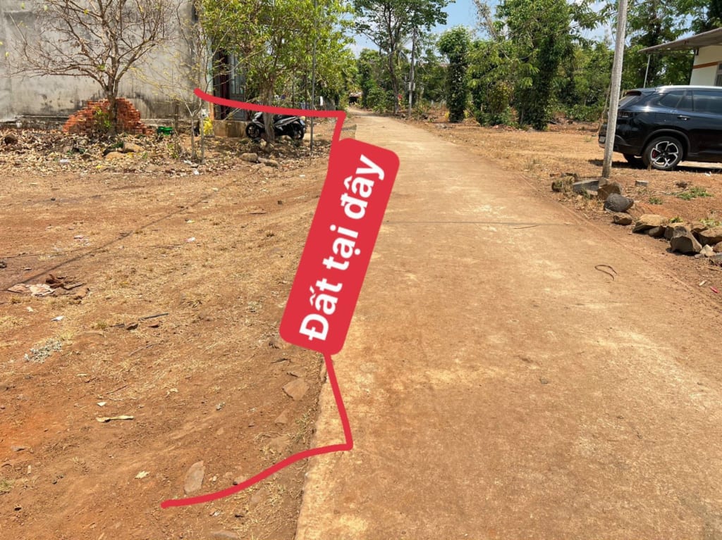 z4315739498753_d9b497e525c4064392be41390ad40794