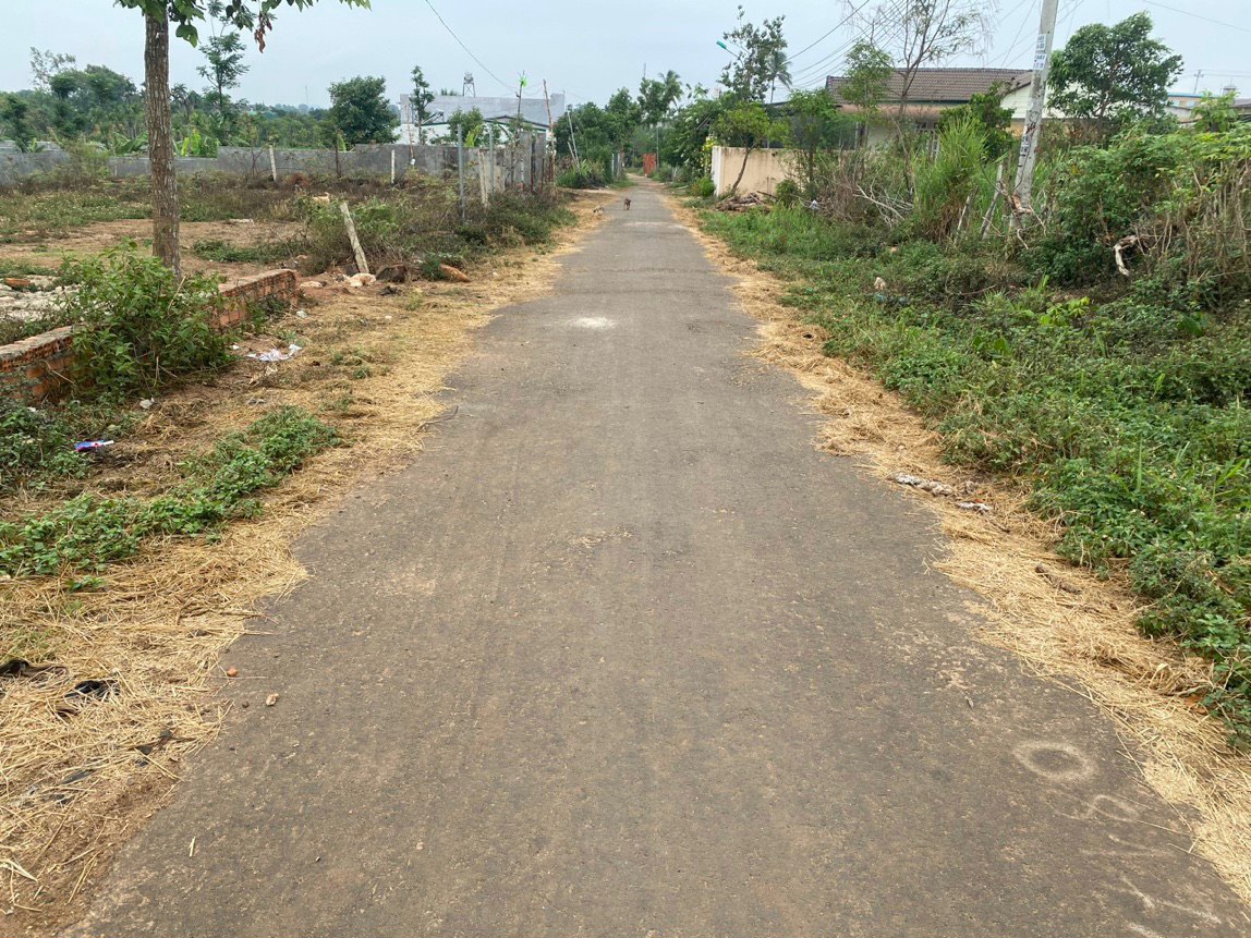 z4332360285372_7b8ea42b5b56be8c72a335de0ab4164e (1)