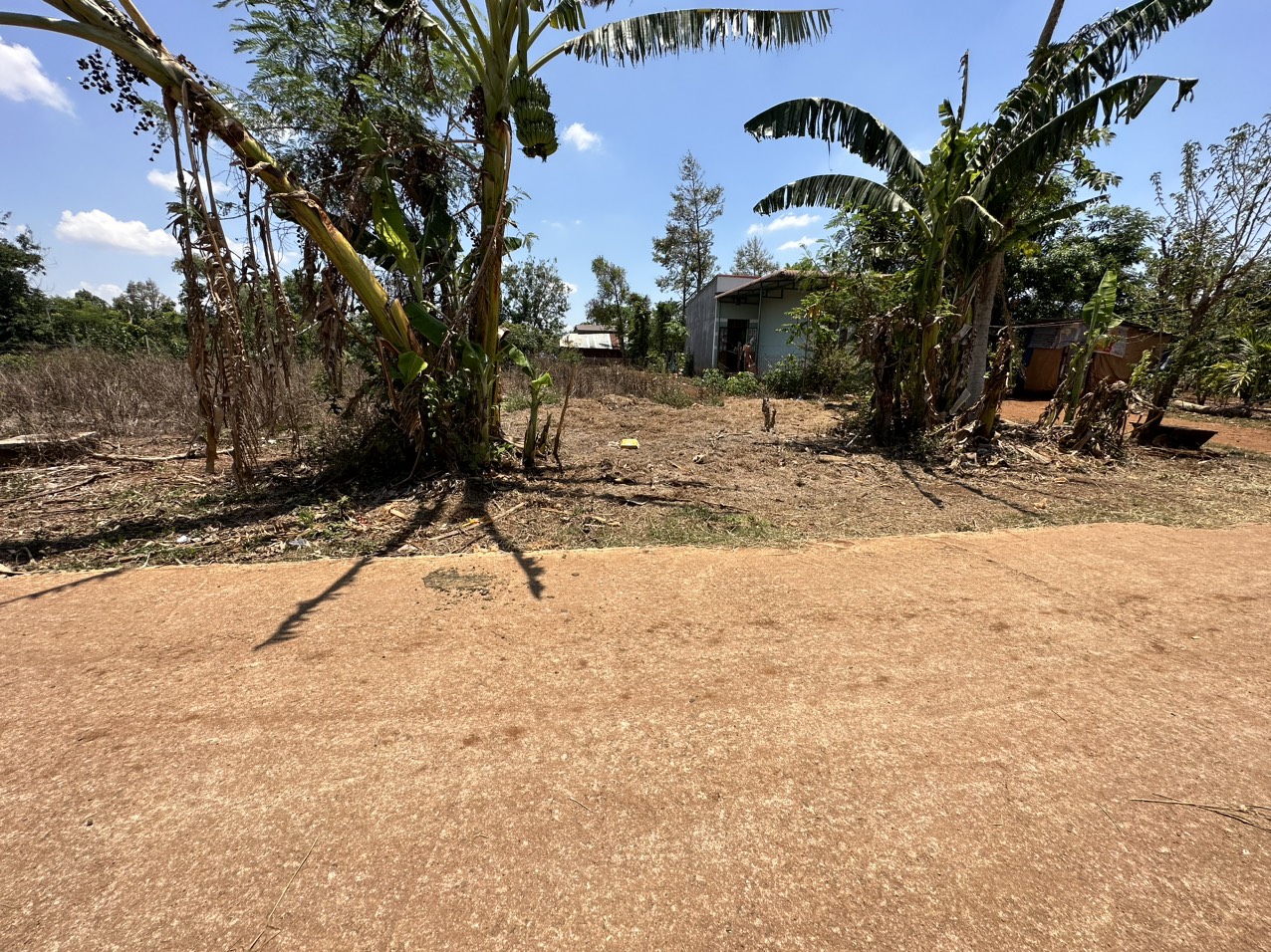 z4345407118122_f57519ca37af2e1fe18282e22fecaf97