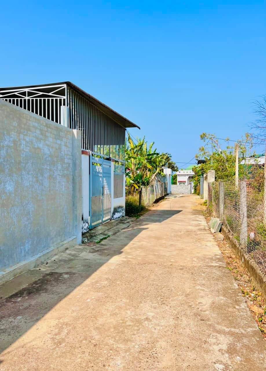 z4374298948264_adc42aa430bf6e4738cbbcb4e13d8aaa