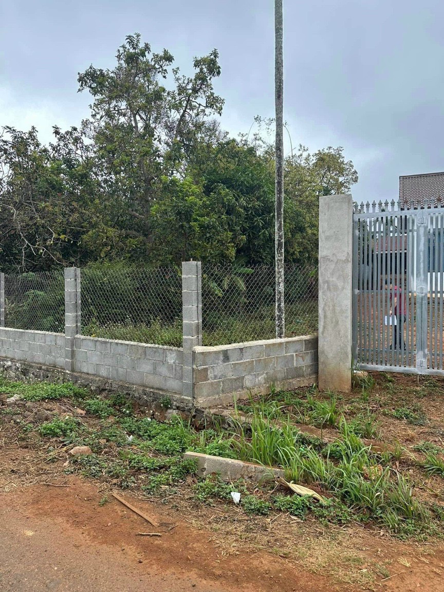 z4376005982341_5abd326fc9c042f0d9d00c3c34e95182