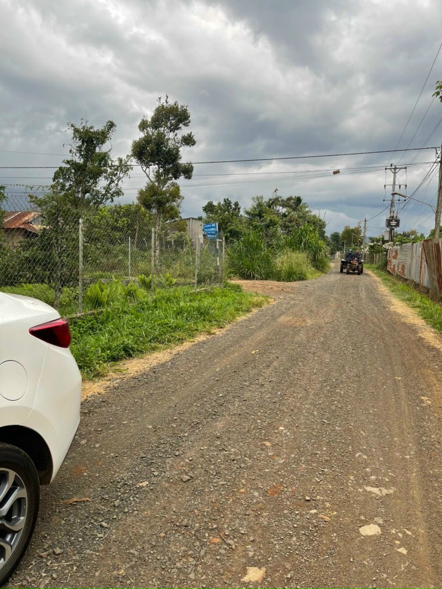 z4392089093540_b9b1a346714bcaa5046eb7020fb8b00e