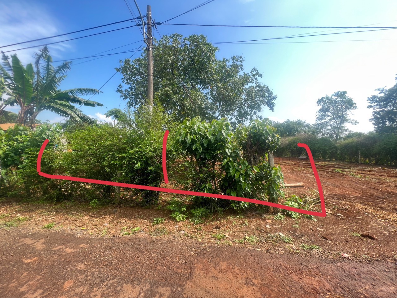 z4394384190639_a4fff9e41c1c7466778a6423958f42f6