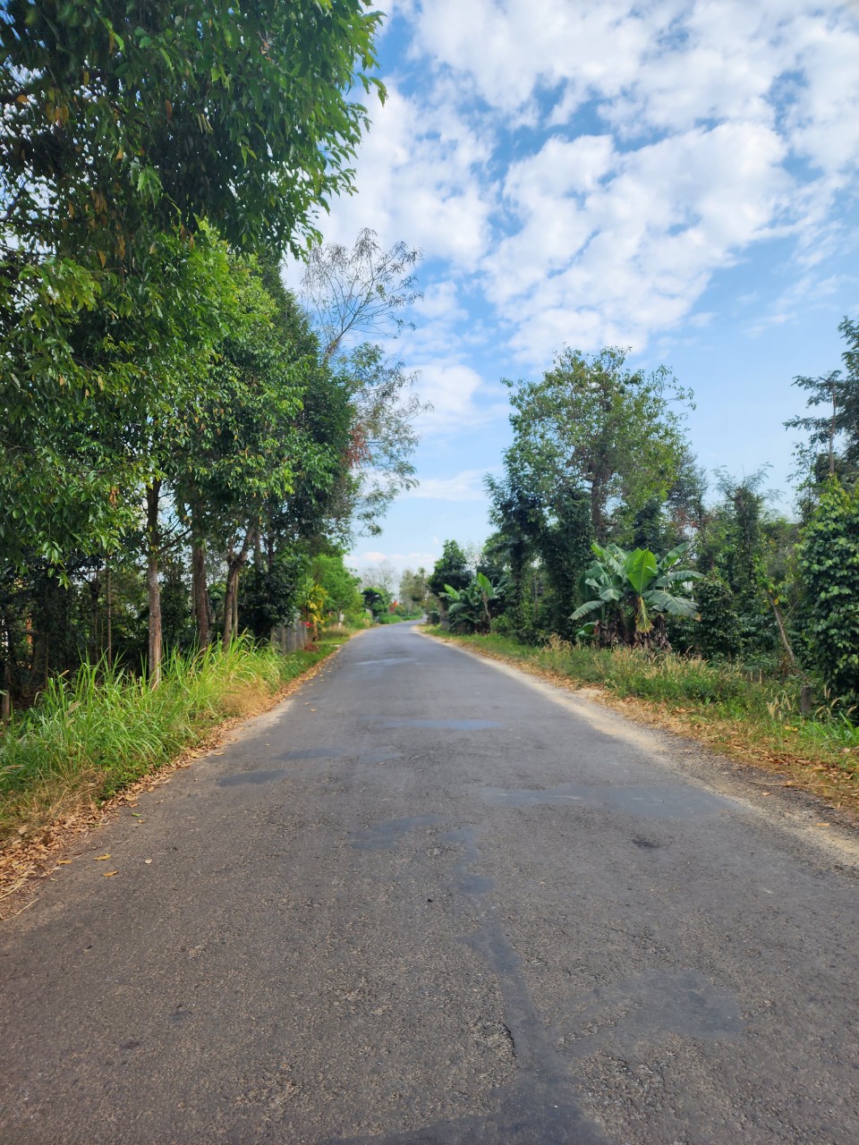 z4397434468863_ef8654a4f16c7379d21ac828d7d3849b