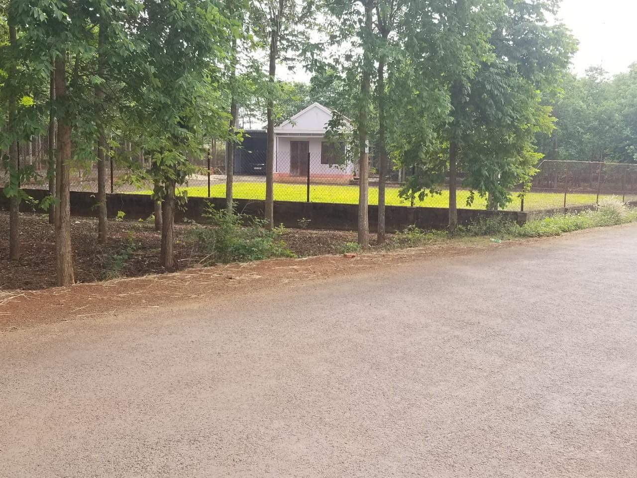 z4410958271685_4244744b76189405367fc348bee41d5a