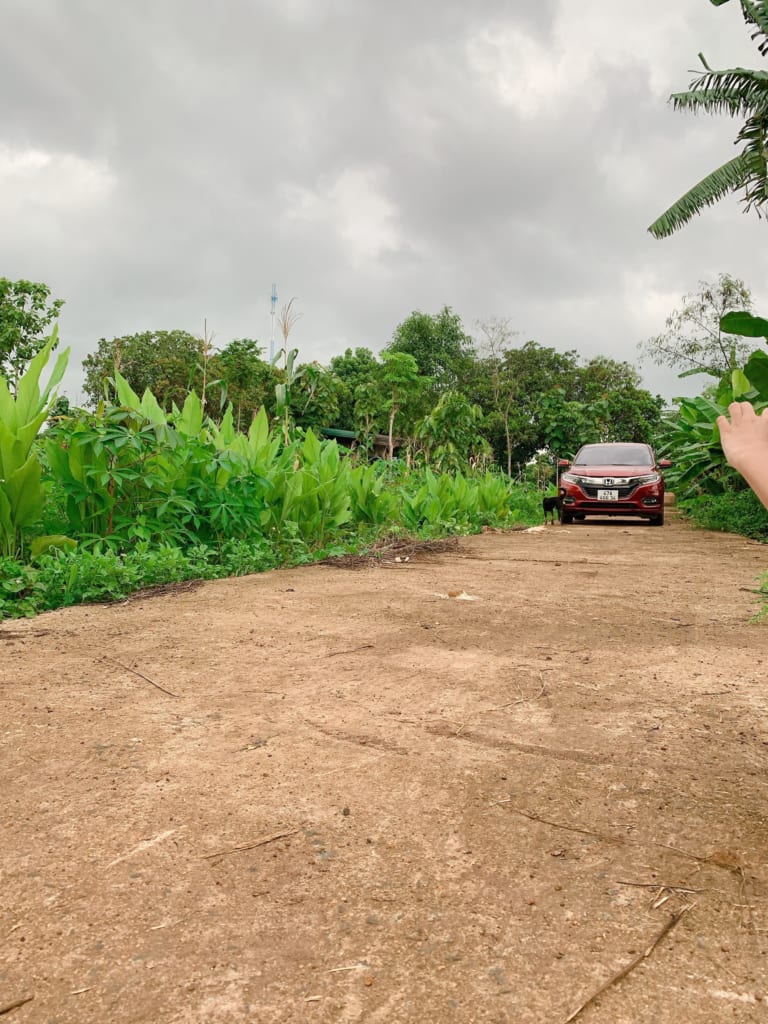 z4425698565009_511037206d1c2a28e67dbda49aeebb23