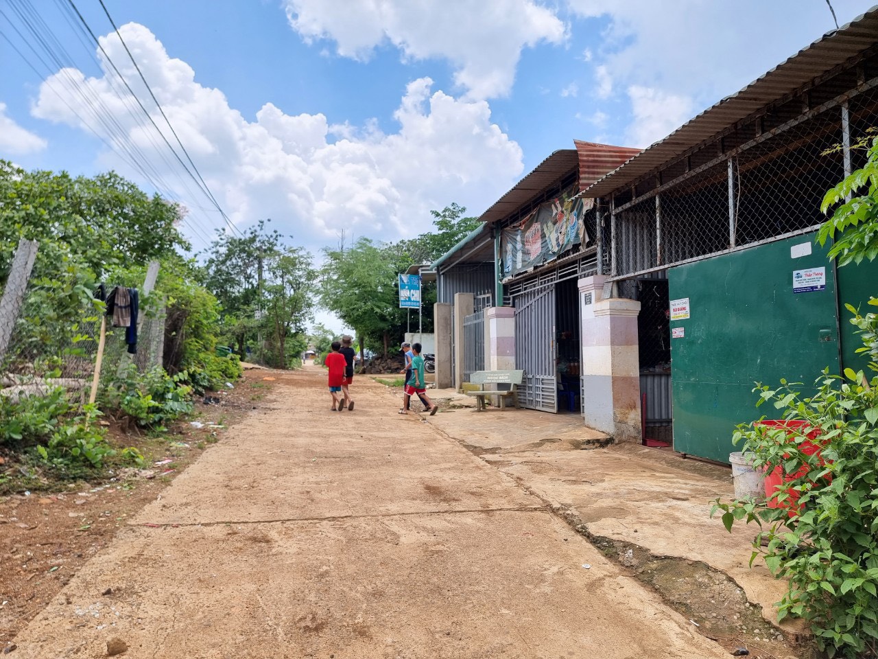 z4449932964610_b2be256fee6e0591544c56e0e660137b