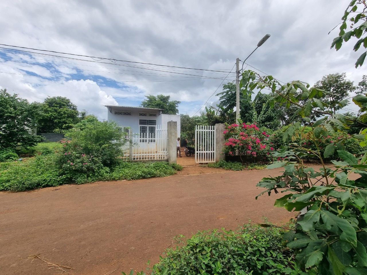 z4455819308681_3b8df3f6e03b7b5b2c266aed77cb3710