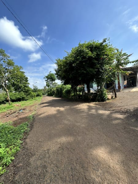 E XẢ LÔ HẺM CẤP 1 ĐƯỜNG MÒN HCM GIÁ ĐẦU TƯ 539 TRIỆU⛅⛅