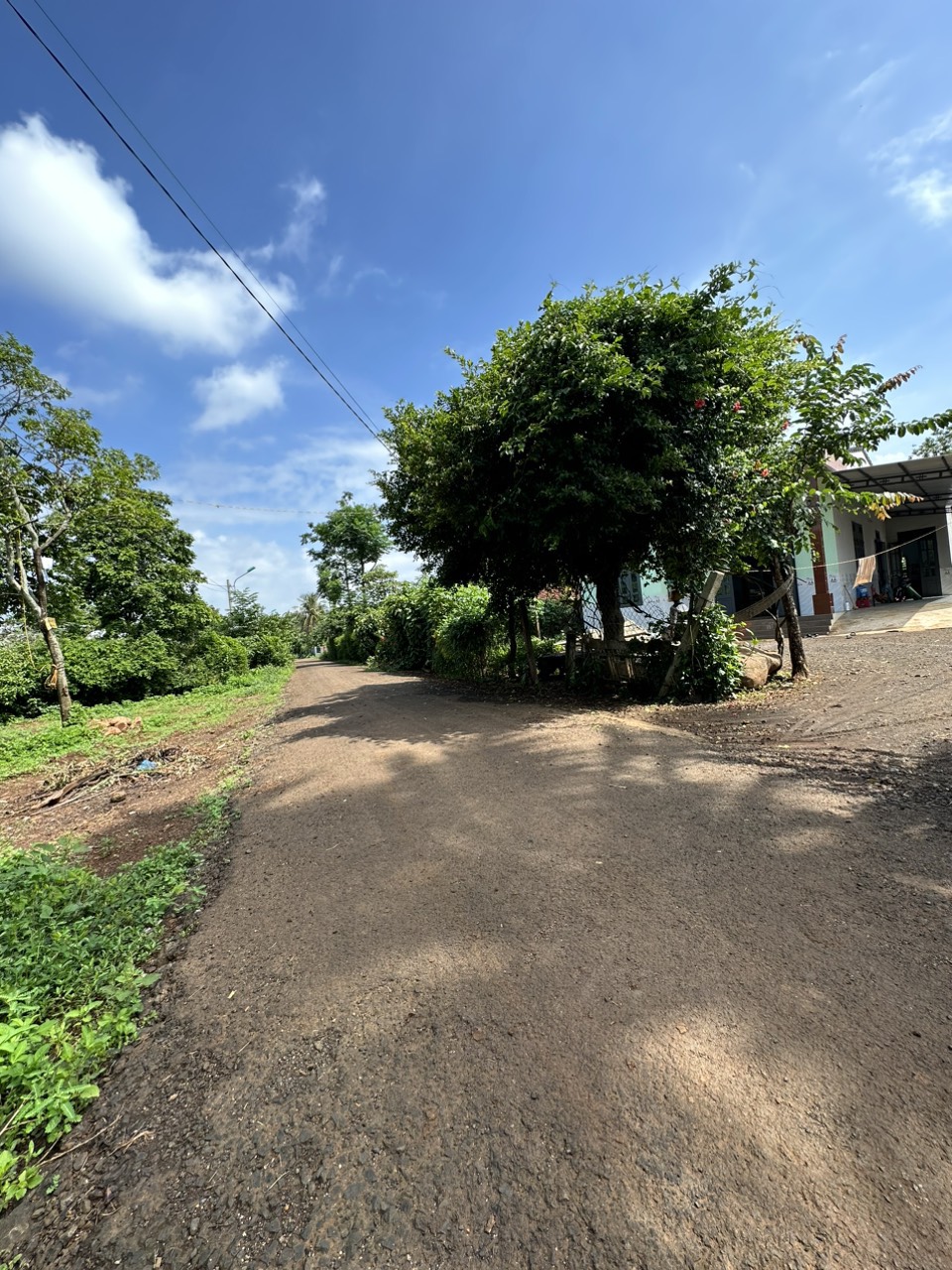 z4463528251759_b1c4203a202d928bffc82e467ab13fcb