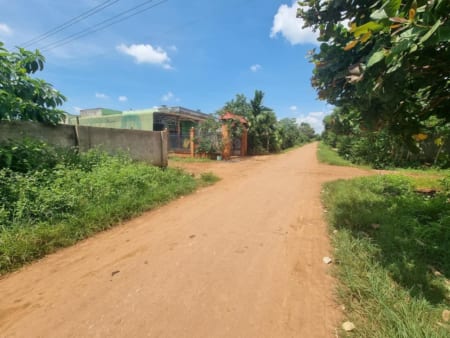 RẺ HẾT NƯỚC CHẤM CHỈ 239 TRIỆU ĐÃ CÓ SỔ 10x52m