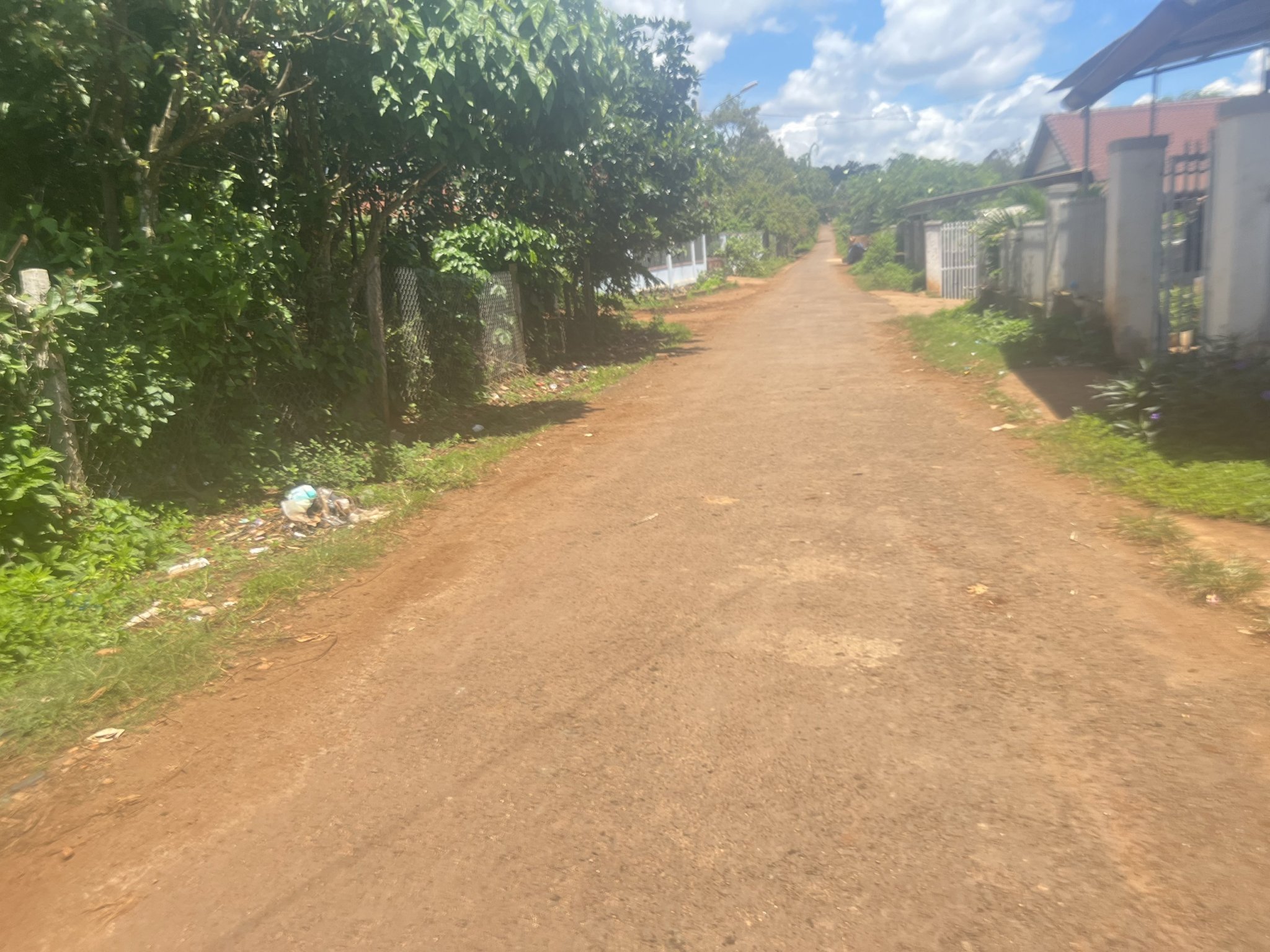 z4564586255371_80ca6d403df98ed13ad57cb2d4bb978c