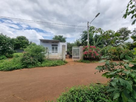 HÒA XUÂN-ĐƯỜNG NHỰA-ĐỐI DIỆN QUẦY THUỐC TÂY