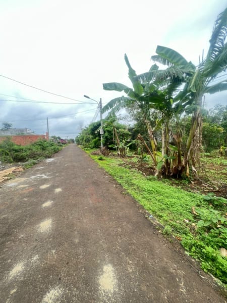 lô đất hoà xuân đường nhựa to 10m hẻm cấp 1 vành đai