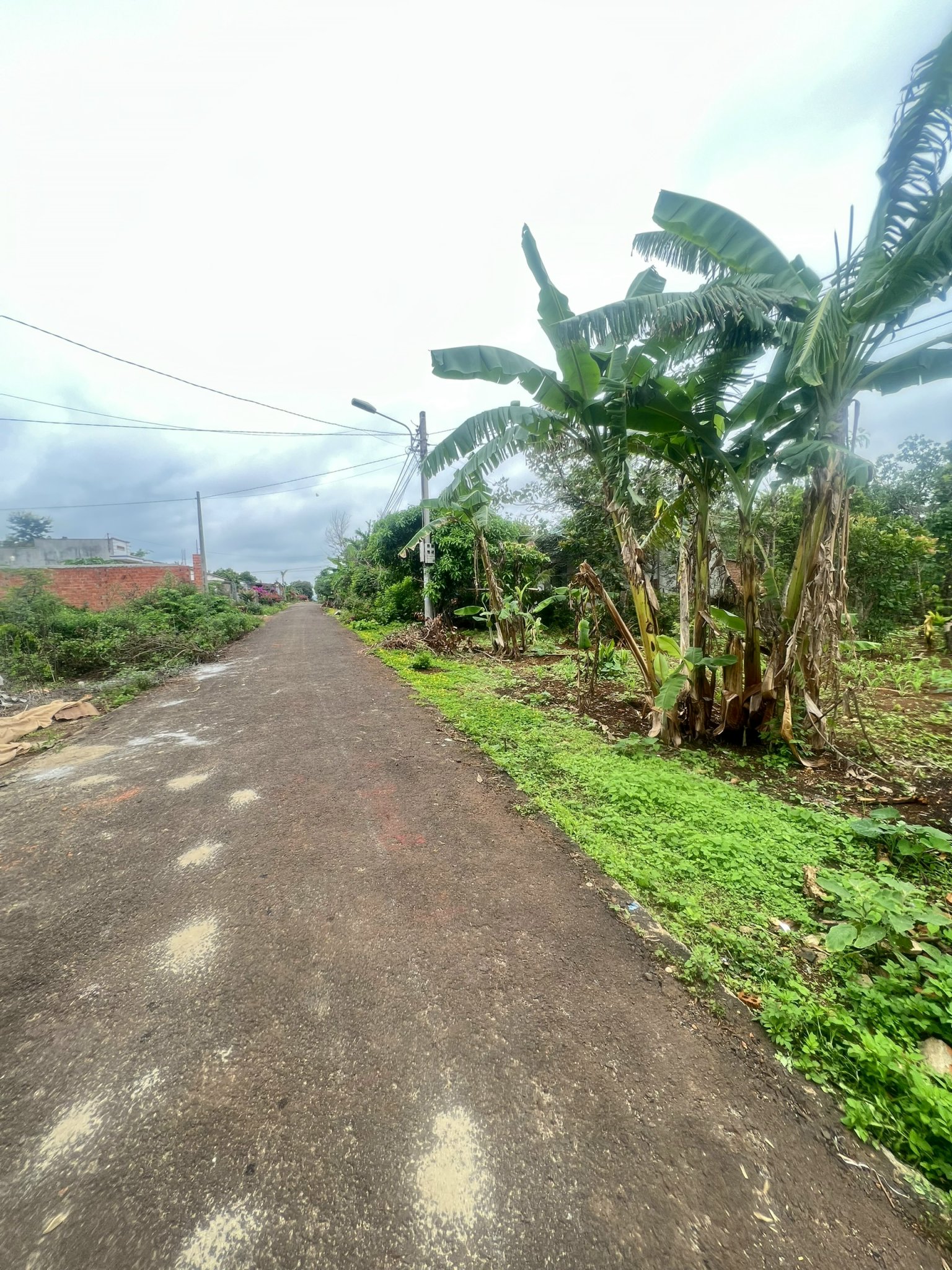 z4601455959846_6b717e5a5e3a716472403b451486dc58