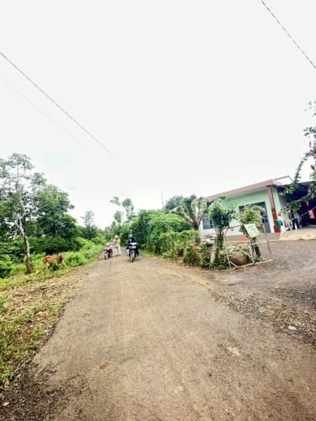 MỪNG 2/9 XẢ GI.Á CHỈ 490 TRIỆU/ LÔ. ĐẦU TƯ ĐẤT GIÁ RẺ