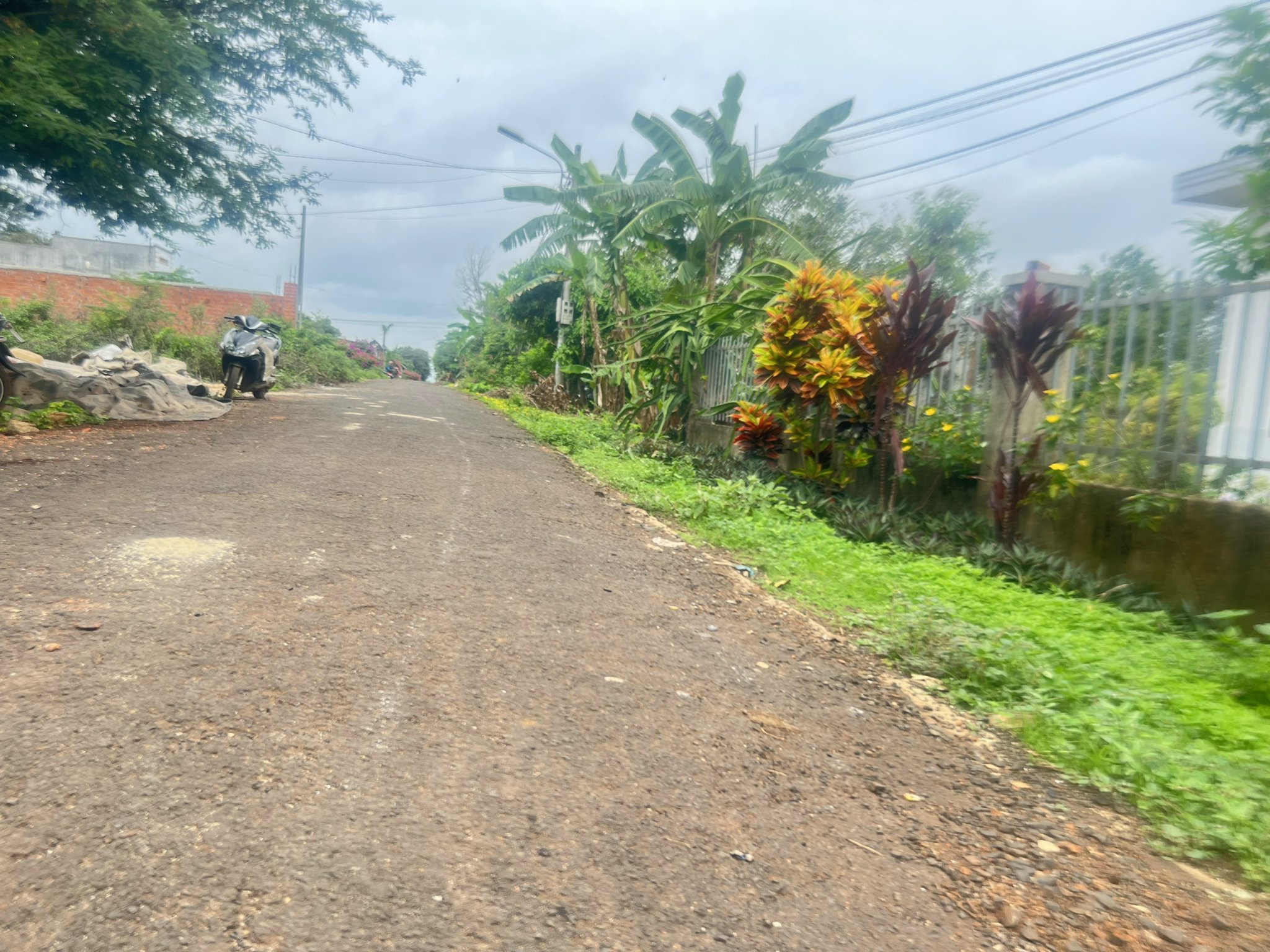 z4664329574081_e93ba7e5f090c728d9f7d11cc7b7ed11