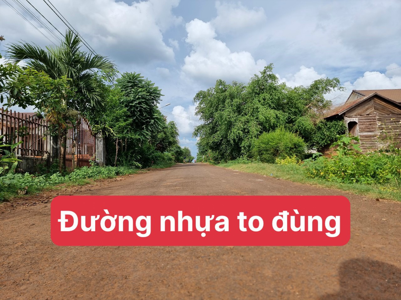 z4671589341675_6d9c443f9edd0cfcb16233326354849b