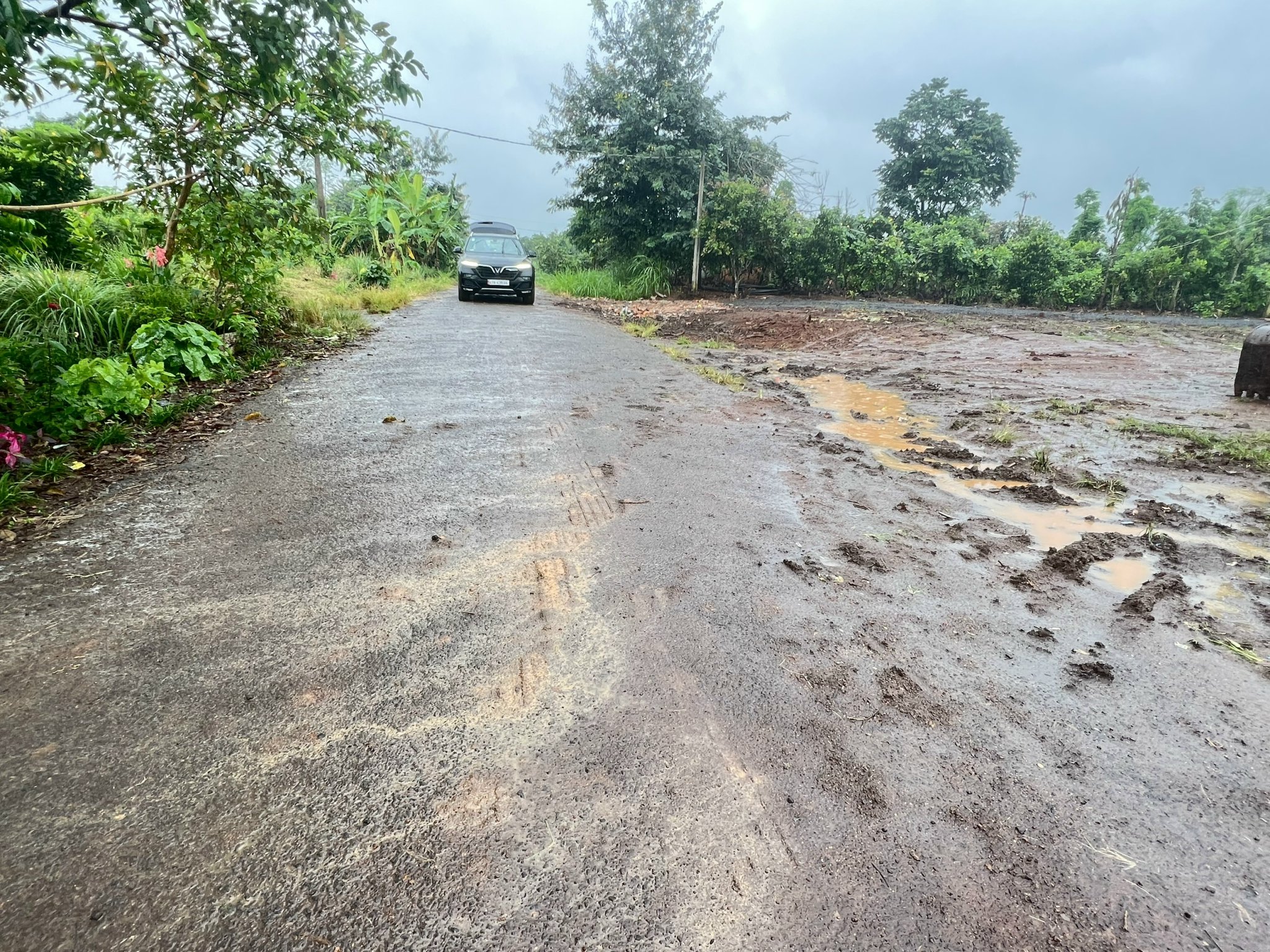 z4709436826810_bd8e3547b245d1041a28ae48703d2ec6