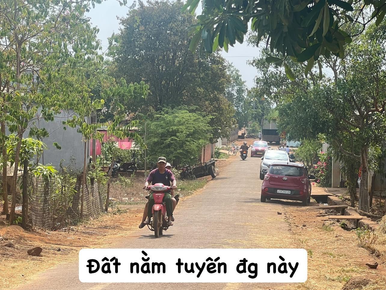 z4716668712901_1949ac8e8ceca667f0ff8a09504cc7a0