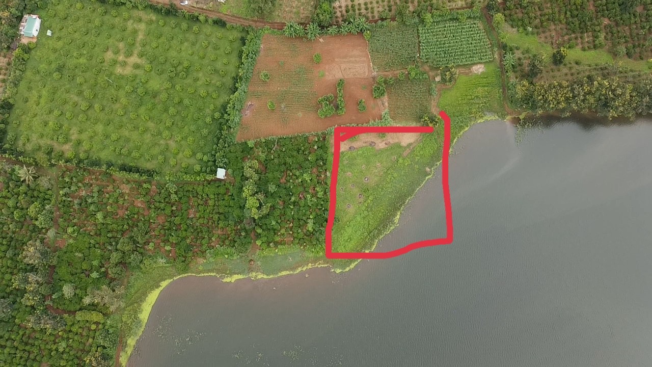 z4841306910427_0b7be5bba73ea692a67717ef3cef8786