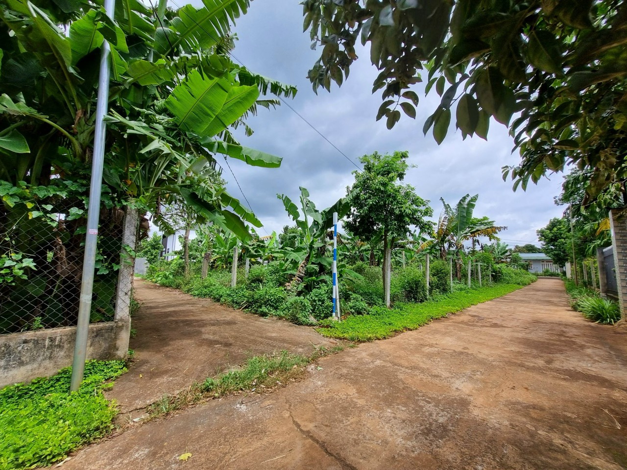 z4844984770314_a5b0a61bd92995a4c718c6d6ff717d38