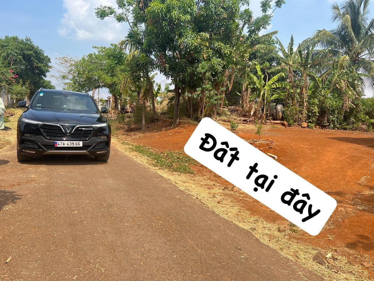 z4846448408411_21841fad0687ad81c862818cea346a38