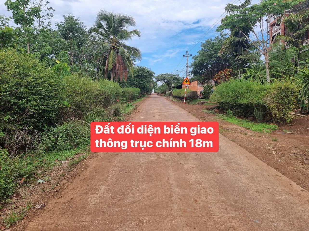 z4846539481131_b7adfe96e1b6b612cafb9a5ec74376f9