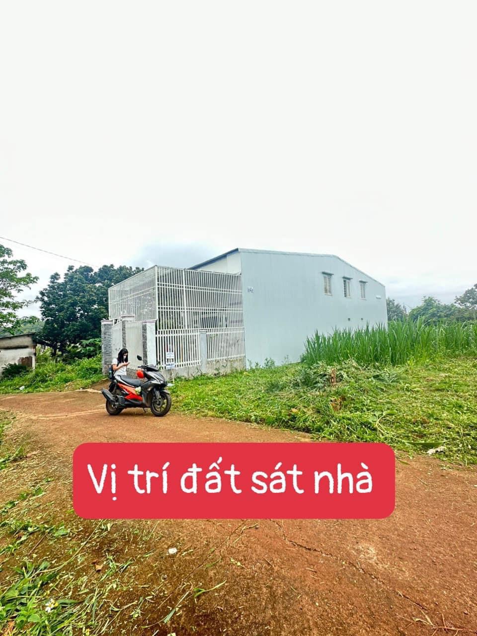 z4852514465902_d14c3bb4ee7483b3b7c3e369f0820359