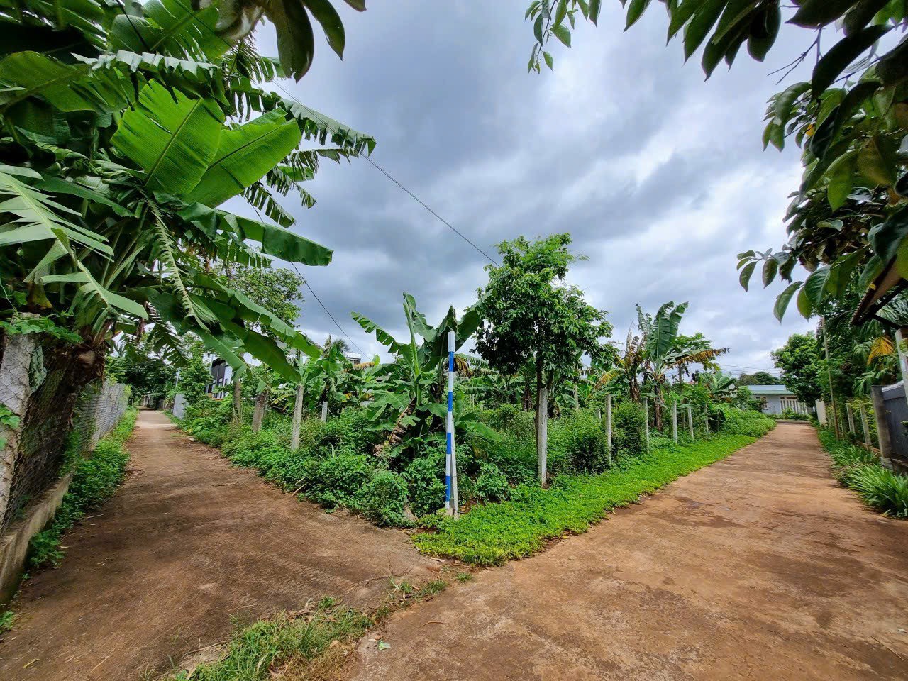 z4856257144379_6edee9fc62eb3dc0adac5397b4832b6e