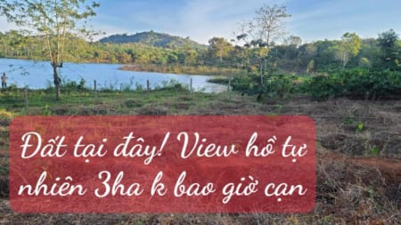 ĐẤT SÀO THỔ CƯ VIEW HỒ