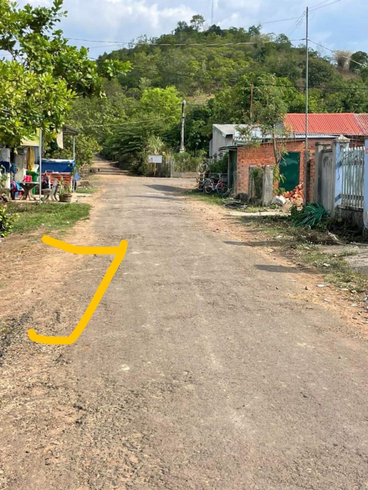 z5555664115811_28339656d99e7cc6b14570d14a633dbc