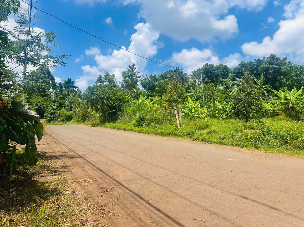 z6846147796583_a638ccb6e5ff868dd704a7c5435cff61