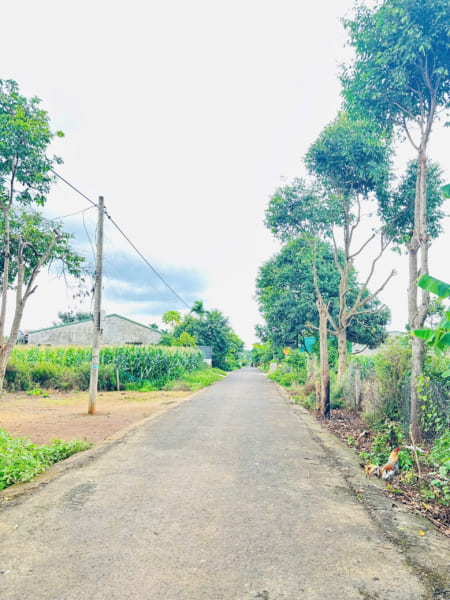 LÔ ĐẤT  ĐƯỜNG NHỰA Ô TÔ TRÁNH